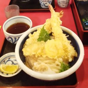 おか泉うどん