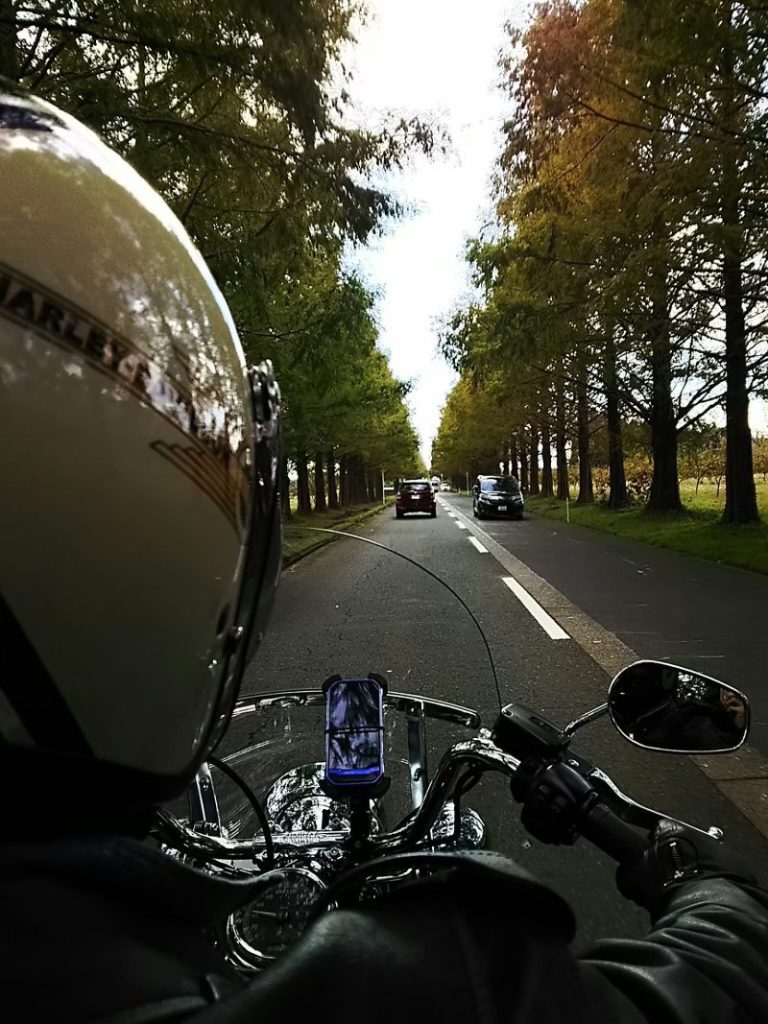 ハーレーメタセコイヤ