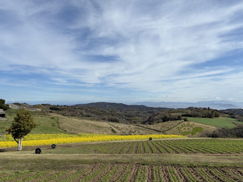 花さじき眺望・神戸
