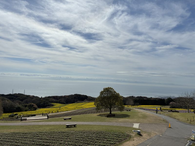 花さじき紀伊半島