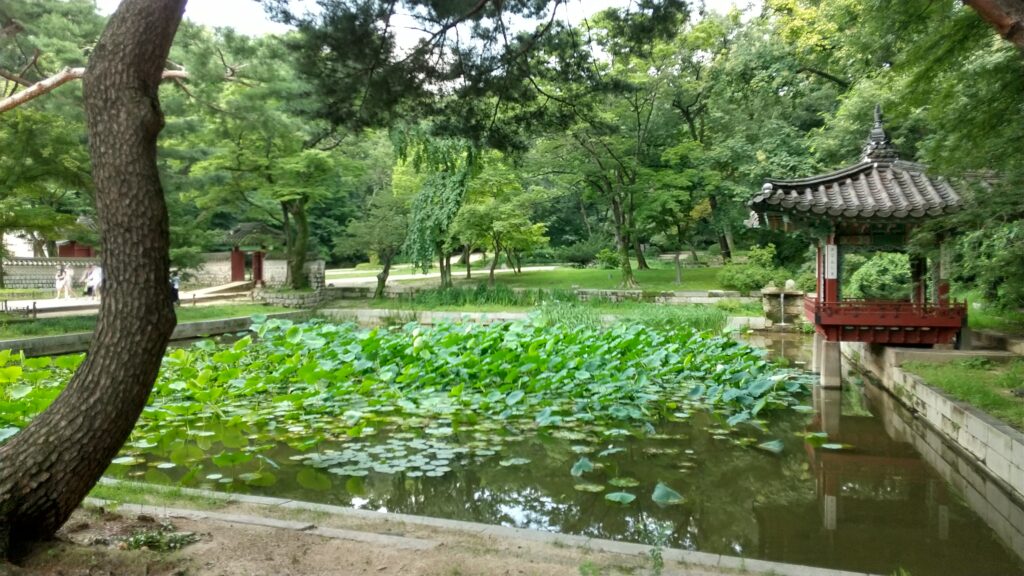 pond