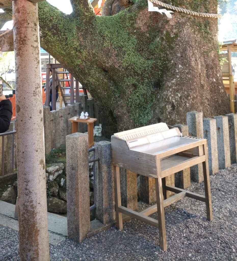 青岸渡寺 御神木大楠くぐり