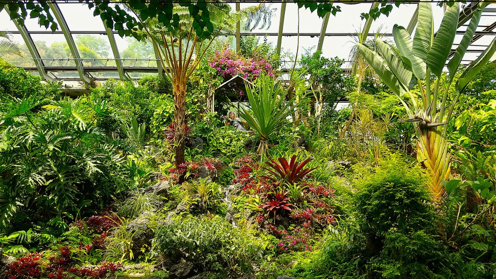 須磨離宮公園鑑賞温室写真