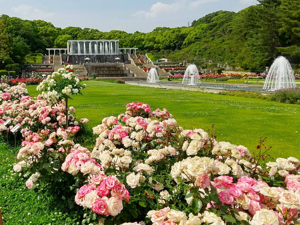 須磨離宮公園噴水広場とバラ園の写真