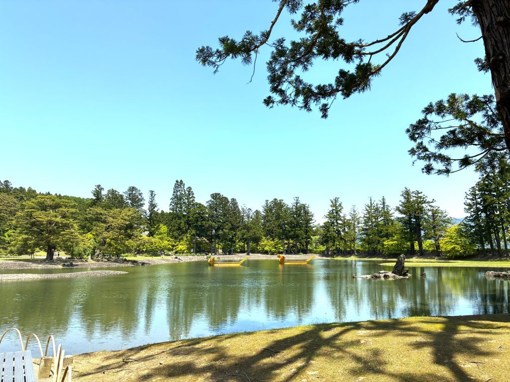 毛越寺浄土庭園池中立石